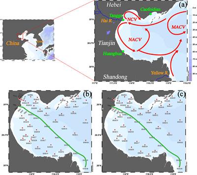 Distributions, sources, and air-sea fluxes of nitrous oxide in Bohai Bay, China